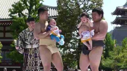 Celebran el Festival Naki Sumo de los bebés llorones en Japón