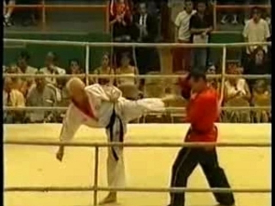 Record du monde de coup de pied