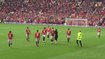 Zlatan Ibrahimovic lookalike invades the pitch