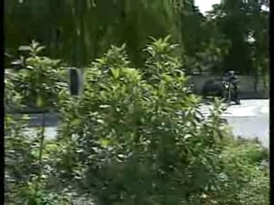 Party Cycle (09/2003)