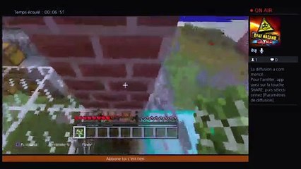 Minecraft survie #1 (11)