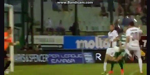 Berg Goal -  Panathinaikos Vs Larissa 2-0  30.04.2017 (HD)