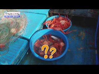 니들이 게 맛을 알어? 신선한 홍게 살! [광화문의 아침] 302회 20160824
