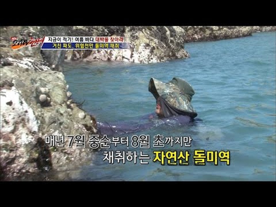 명품 돌미역을 위한 아슬아슬한 작업 현장! [뉴 코리아 헌터] 12회 20160824