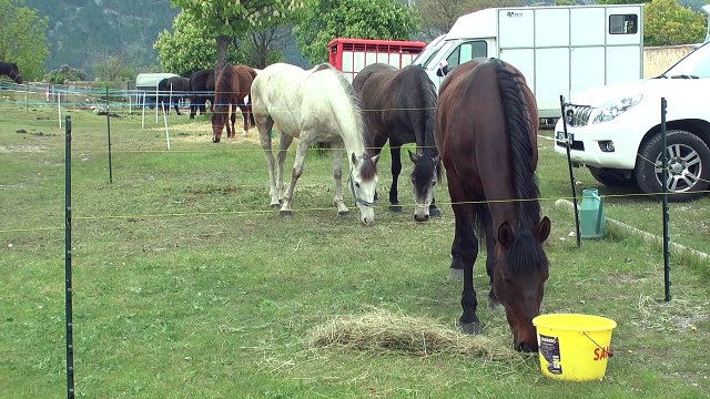 Hautes-Alpes : 2 ème édition du TREC de Mont-Dauphin