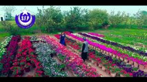 Pashto New Songs 2017 Shahid Khan & Mahak Noor Film Songs Starge Sre Na Manam - Sta Ada Sta Khanda