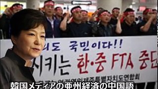 【韓国滅亡】中韓FTAで韓国6600億円の損失見込み！南朝鮮自治区まで後わずか！！