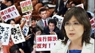 稲田朋美政調会長「民主党はプラカードを掲げる前に対案を掲げるべきだ」