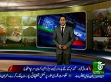 Regional News Bulletin 05am 30 April 2017 - Such TV