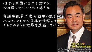 【海外の反応】中国・王毅外相が全人代で「日本はまず心の病を治すべき」→「お前がいうな」「病気はお前だ」