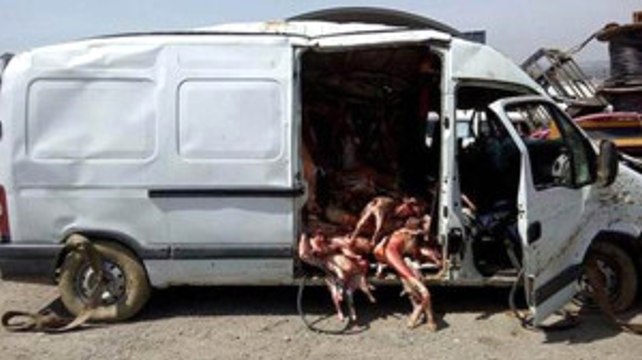 Kaza Yapan Minibüsten Onlarca Kilo Ağırlığında Kaçak Et Çıktı