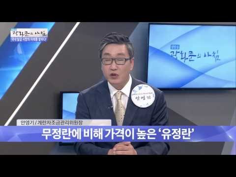 유기농 달걀 vs 일반 달걀! 차이는? [광화문의 아침] 301회 20160823