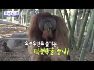 잉어에게 먹이 주는 귀염 터지는 오리! [광화문의 아침] 301회 20160823