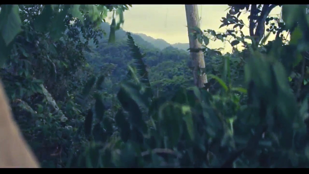 Затерянный город Z / The Lost City of Z (2016) русский трейлер