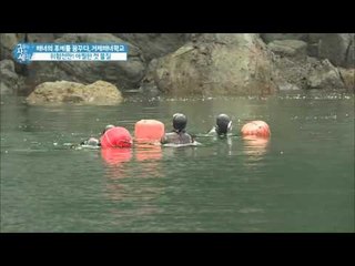 해녀가 되고픈 학생들의 바다탐험! [그들이 사는 세상] 7회 20160821