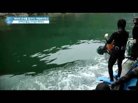 작업도 즐겁게! 해녀의 노랫소리! [그들이 사는 세상] 7회 20160821