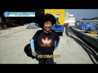 거제의 해녀학교를 소개합니다! [그들이 사는 세상] 7회 20160821