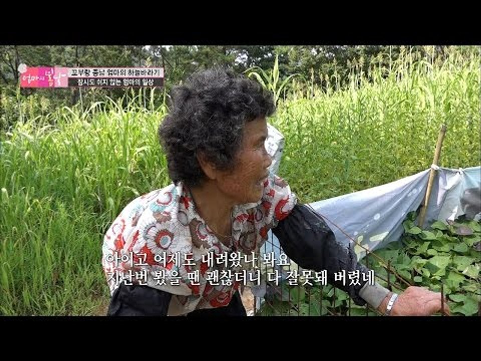 허리가 아픈 엄마의 소소한 일상 [엄마의 봄날] 55회 20160819
