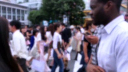 JVZoo Academy Premium Review