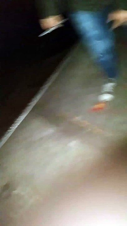 disco disco partey partey