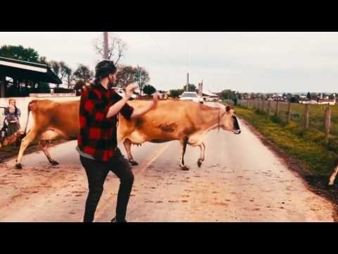 Guy Shows Off His Dancing Skills in Front of Cattle