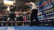 Sick Power Gennady Golovkin Dropping Bombs Ready For Jacobs - esnews boxing