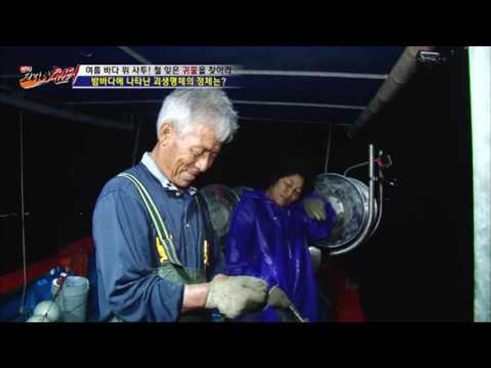 밤바다에 나타난 엄청난 괴생명체! [뉴 코리아 헌터] 11회 20160817