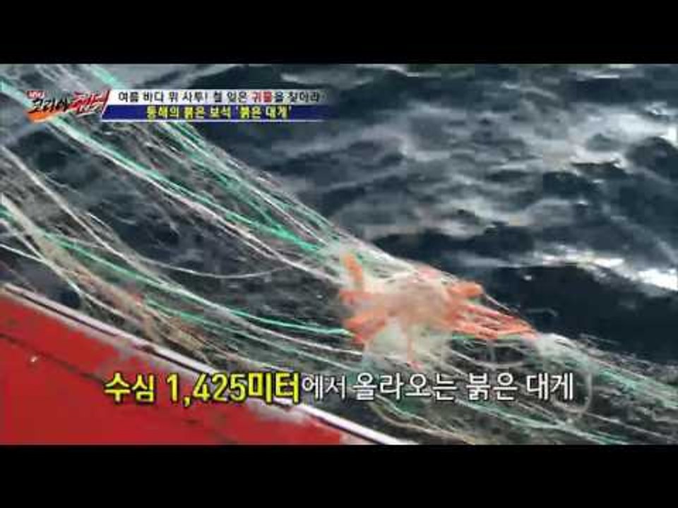헌터가 노리는 동해의 붉은 보석은 과연? [뉴 코리아 헌터] 11회 20160817