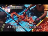 상상초월, 헌터가 잡은 붉은 대게의 값은? [뉴 코리아 헌터] 11회 20160817