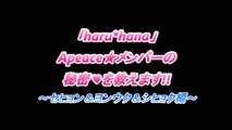 【haru＊hana】  Apeace未公開動画 「僕の秘密教えます」vol.3 セヒョン&ヨンウク&シヒョク編