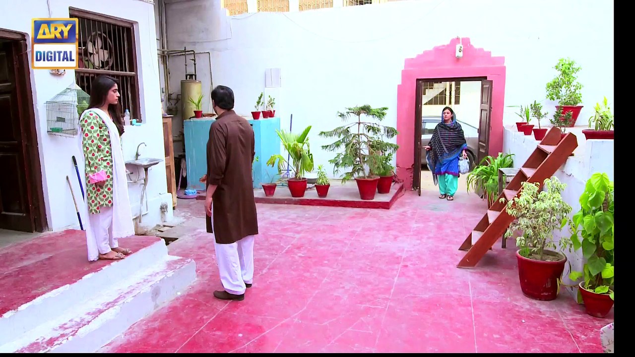 Watch Mere Humnawa  24 - on Ary Digital in High Quality 25th February 2017