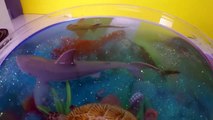 DIY SHARK Toys Slime Aquarium Fish Tank - Toy Sharks, Sea Animals, Toys and Slime _ Craft Videos-FGW
