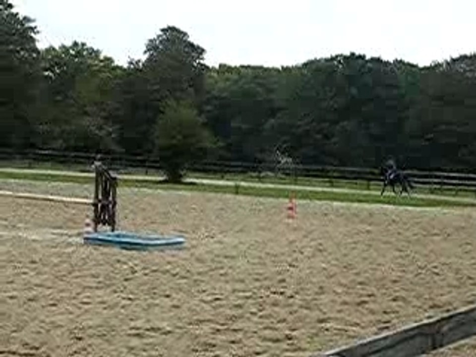 Trot avec Perle