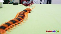 Innovation Scorpion and Giant Scolopendra Creepy Crawlers Toys-fJ4XcCS9