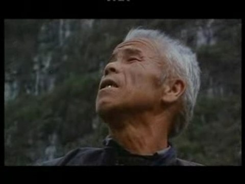 Il danse pour ses cormorans