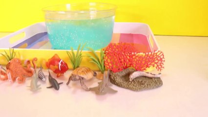 Descargar video: DIY SHARK Toys Slime Aquarium Fish Tank - Toy Sharks, Sea Animals, Toys and Slime _ Craft Videos-FGWk