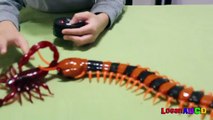 Innovation Scorpion and Giant Scolopendra Creepy Crawlers Toys-fJ