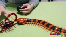 Innovation Scorpion and Giant Scolopendra Creepy Crawlers Toys-fJ4