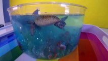 DIY SHARK Toys Slime Aquarium Fish Tank - Toy Sharks, Sea Animals, Toys and Slime _ Craft Videos-FGWk-0r