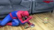 Spiderman Vs Snake & More Superhero Real Life Fun-Mv