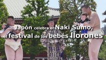 Japón celebra el Naki Sumo, el festival de los bebés llorones