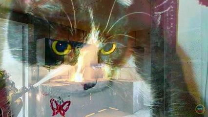 15 Unbelievable Animals That Saved People’s Lives