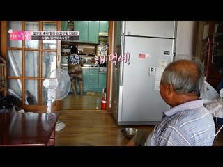 식사를 준비하는 아내, 요지부동 남편! “밥 줘~” [엄마의 봄날] 54회 20160814