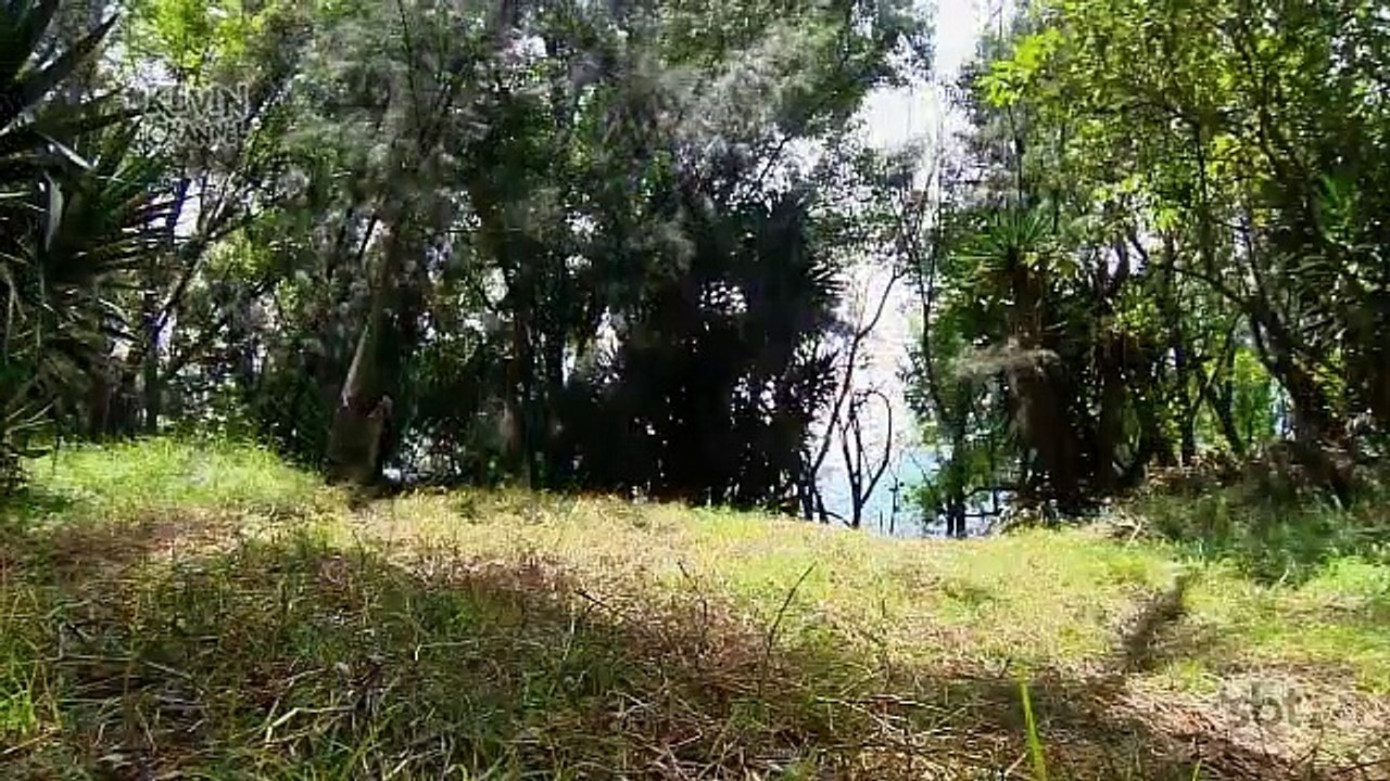 A Gata - Capitulo 14 (Completo/Dublado)