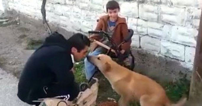 Köpeğine Mama Verilen Engelli Çocuğun İzlenmeye Değer Mutluluğu