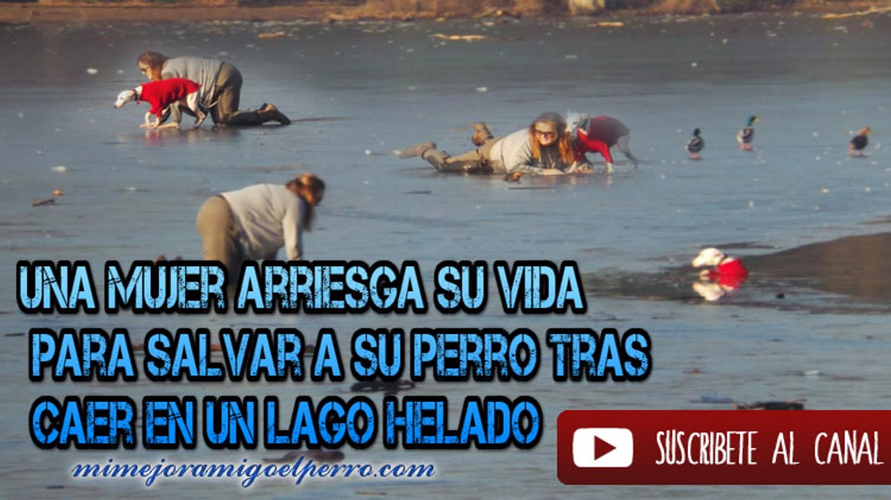 Una mujer arriesga su vida para salvar a su perro tras caer en un lago helado