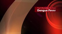 Top 5 Remedies To Treat Dengue Fever-jsy9