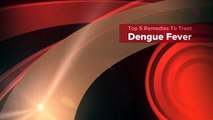 Top 5 Remedies To Treat Dengue Fever-jsy97B