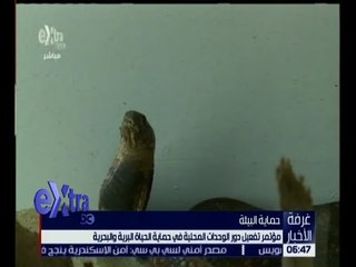 غرفة الأخبار | فعاليات مؤتمر حماية الحياة البرية والبحرية