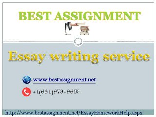 Essay writing services